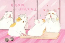 IMG 20251023 0002 ready