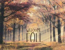 IMG 20251023 0007 ready