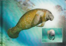 IMG 20251023 0011 ready