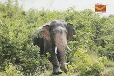 IMG 20251023 0013 ready