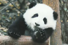 IMG 20251023 0022 ready