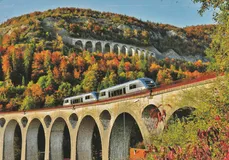 IMG 20251023 0038 ready