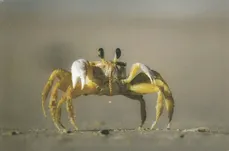 IMG 20251023 0044 ready